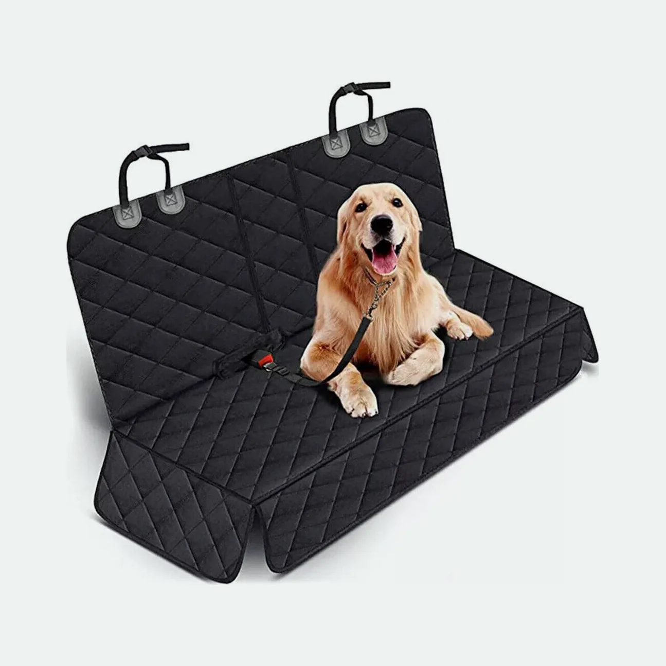 Golden retriever lying on the quilted back seat hammock, clipped in with a seat-belt tether