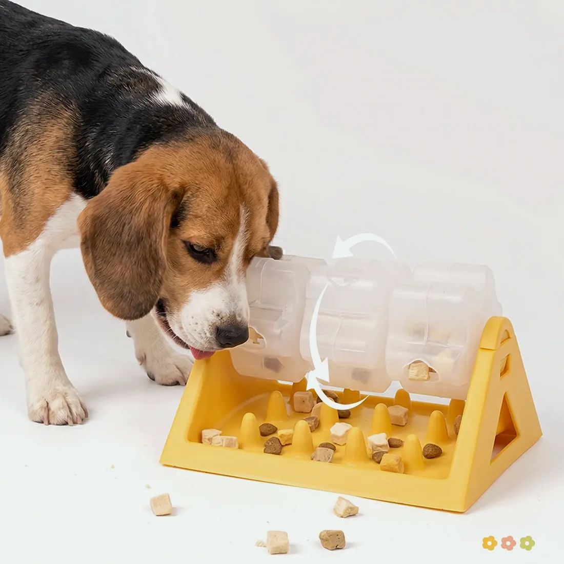 Beagle nosing a drum of the yellow treat feeder round while kibble drops onto the base